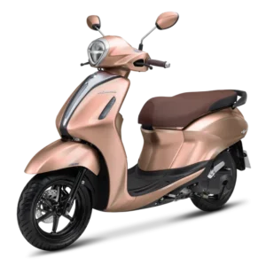 Grande LTD - BJJC - CÁT TƯỜNG FM